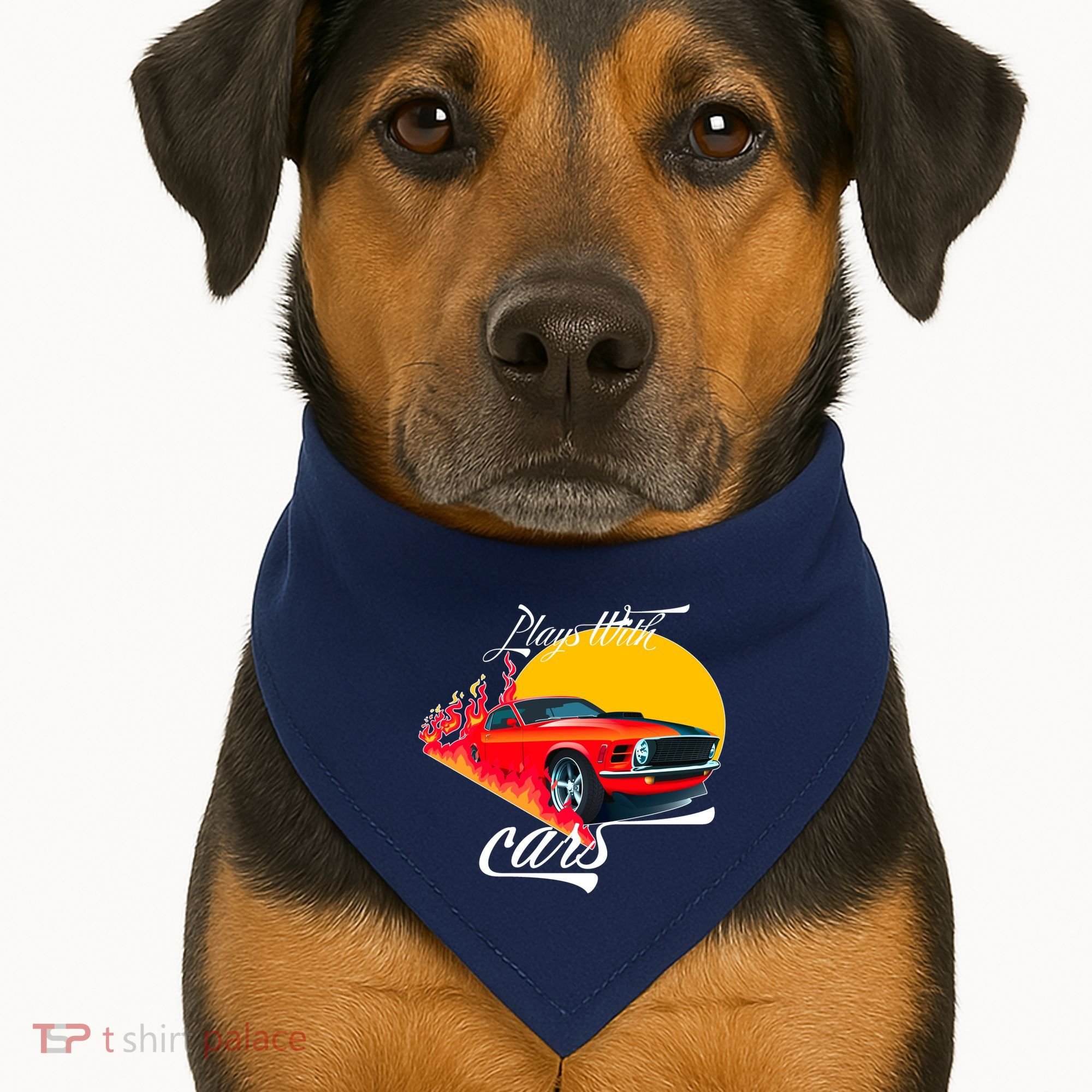 Plays With Cars Matching Family USA-Made Doggie Bandana