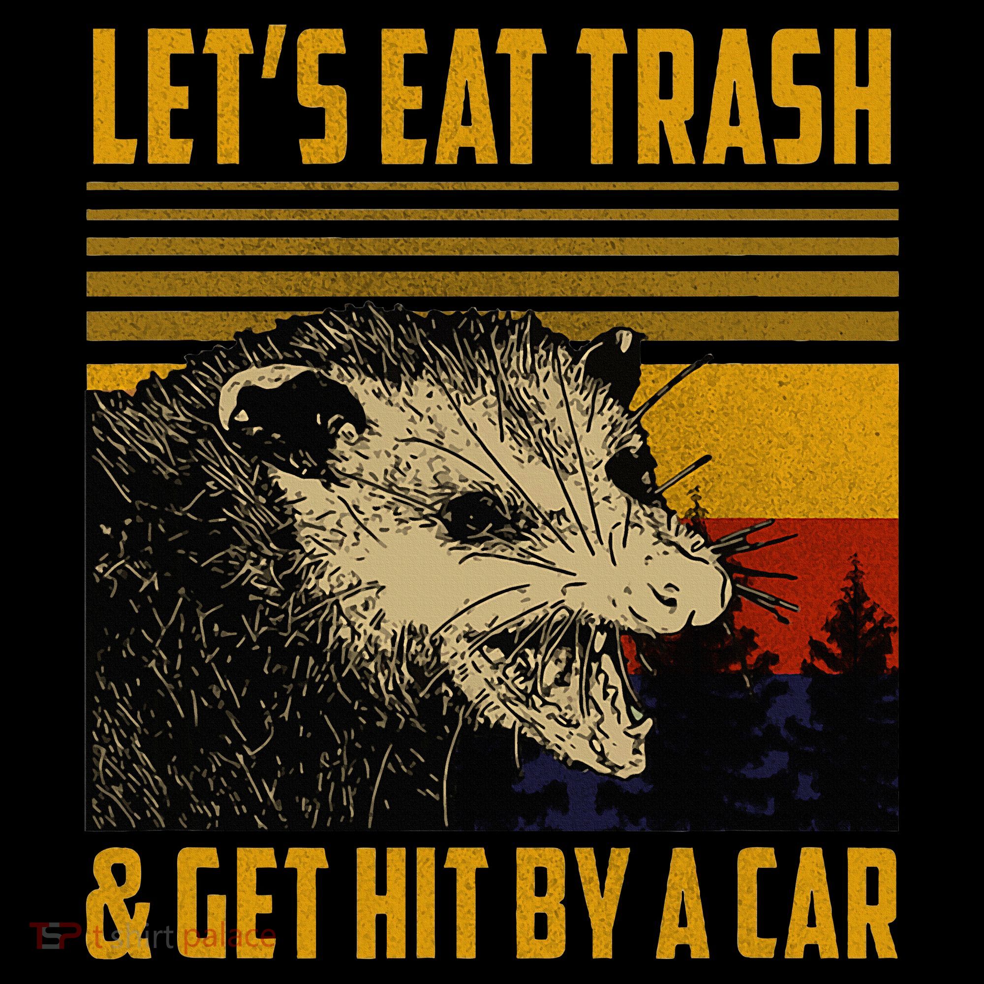 Possum LetS Eat Trash And Get Hit By A Car Women's Hoodie