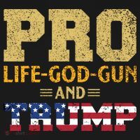 Pro Life God Gun And Trump Toddler Hoodie thumb 2
