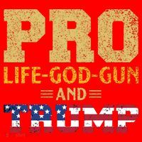 Pro Life God Gun And Trump Santa Hat thumb 1