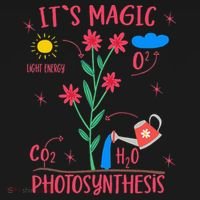 Plant Lover Gardener Magic Photosynthesis Plant Hoodie thumb 2