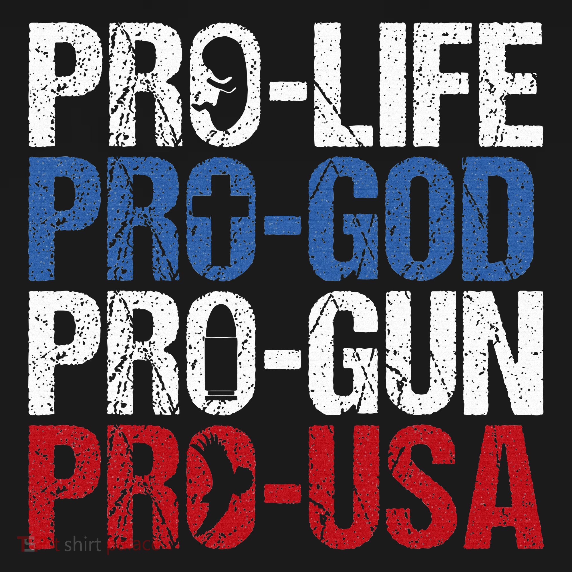 Pro Life God Gun Usa Conservative Republican Pro America Women's Hoodie