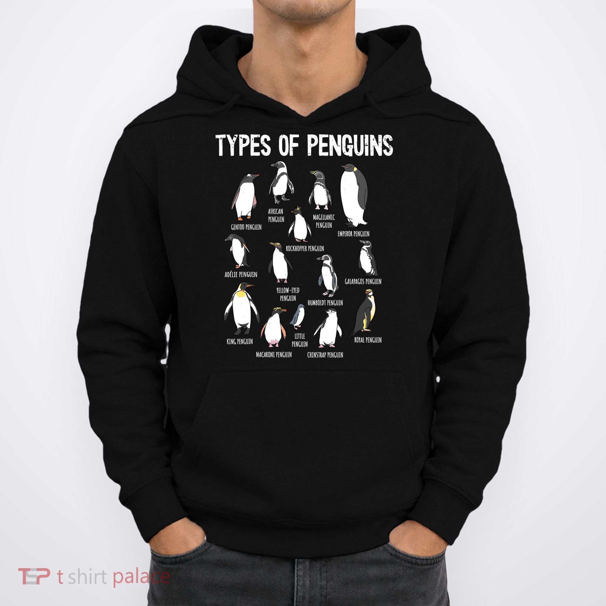 Penguin Lover Penguins Of The World Types Of Penguins Hoodie