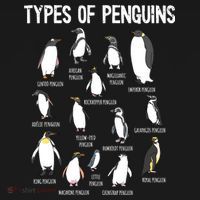 Penguin Lover Penguins Of The World Types Of Penguins T-Shirt thumb 7