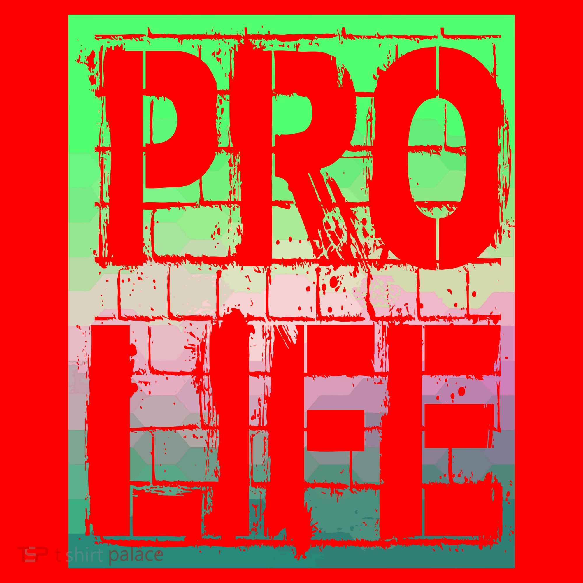 Pro Life Santa Hat