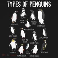 Penguin Lover Penguins Of The World Types Of Penguins T-Shirt thumb 7