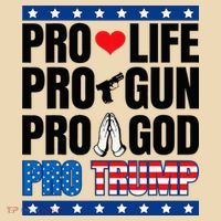 Pro Life Pro Gun Pro God Pro Trump Tote Bag thumb 4