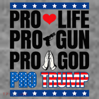 Pro Life Pro Gun Pro God Pro Trump Toddler Hoodie thumb 2