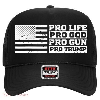 Pro Life Pro God Pro Gun Pro Trump Hat