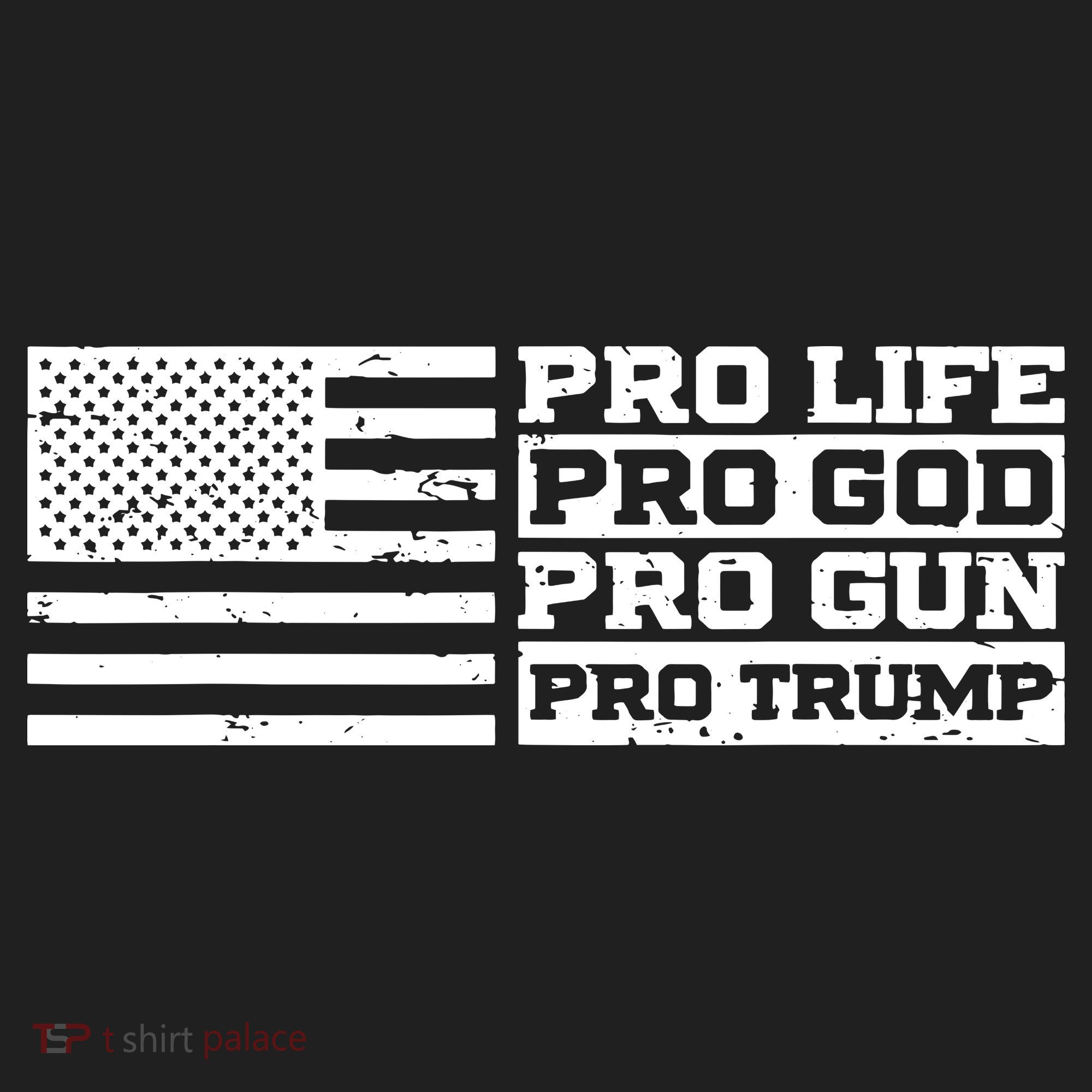 Pro Life Pro God Pro Gun Pro Trump Hat