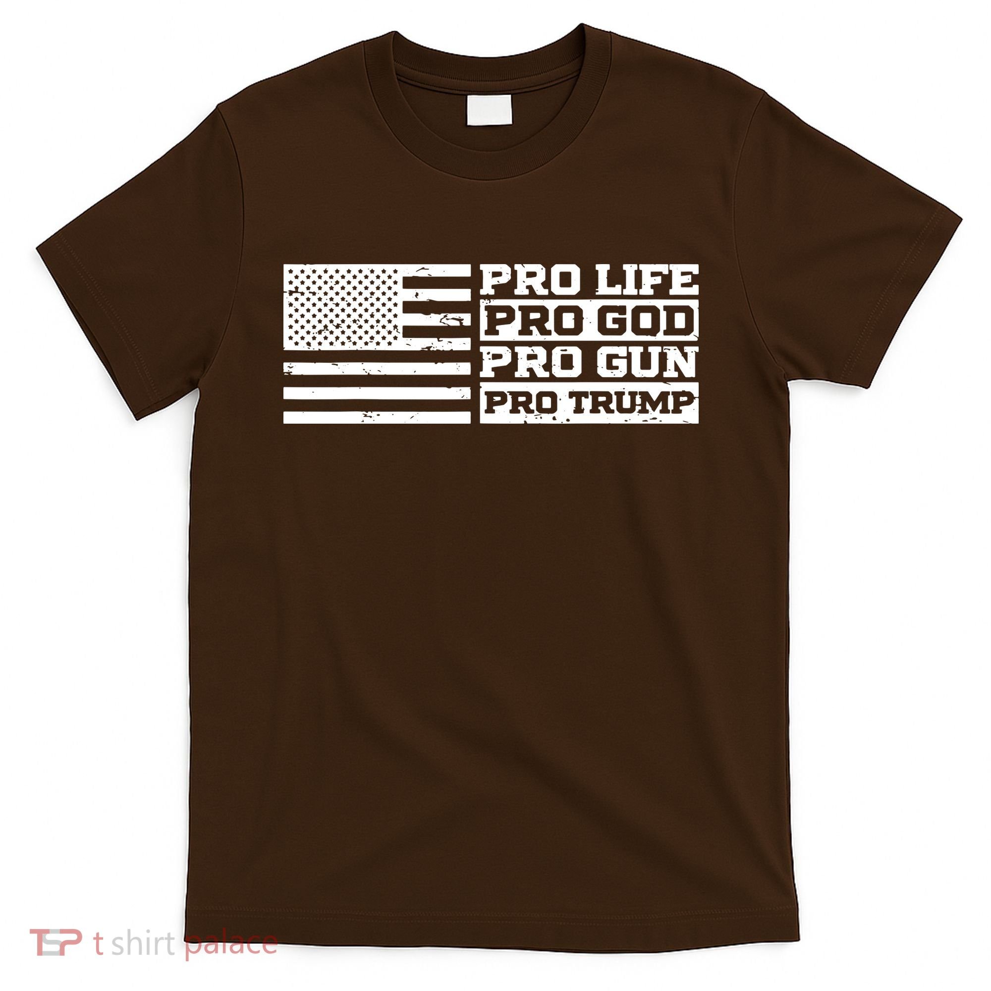 Pro Life Pro God Pro Gun Pro Trump T-Shirt