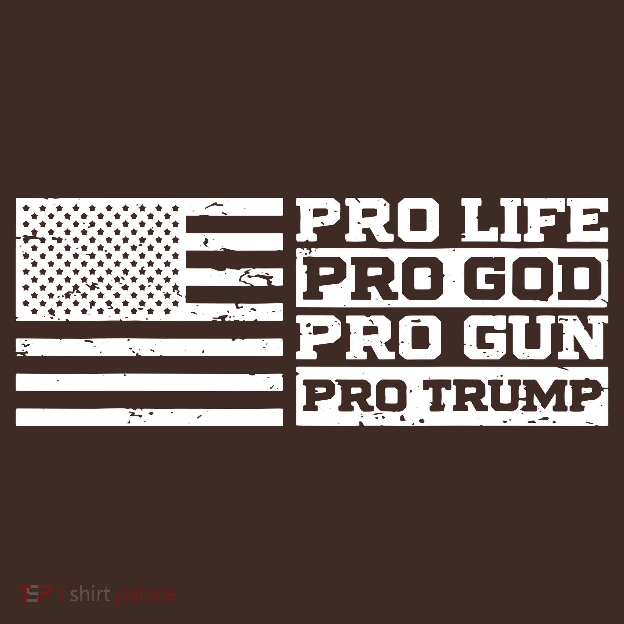 Pro Life Pro God Pro Gun Pro Trump Beanie