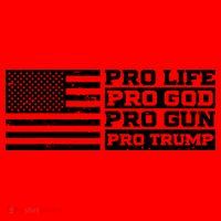 Pro Life Pro God Pro Gun Pro Trump Santa Hat thumb 1