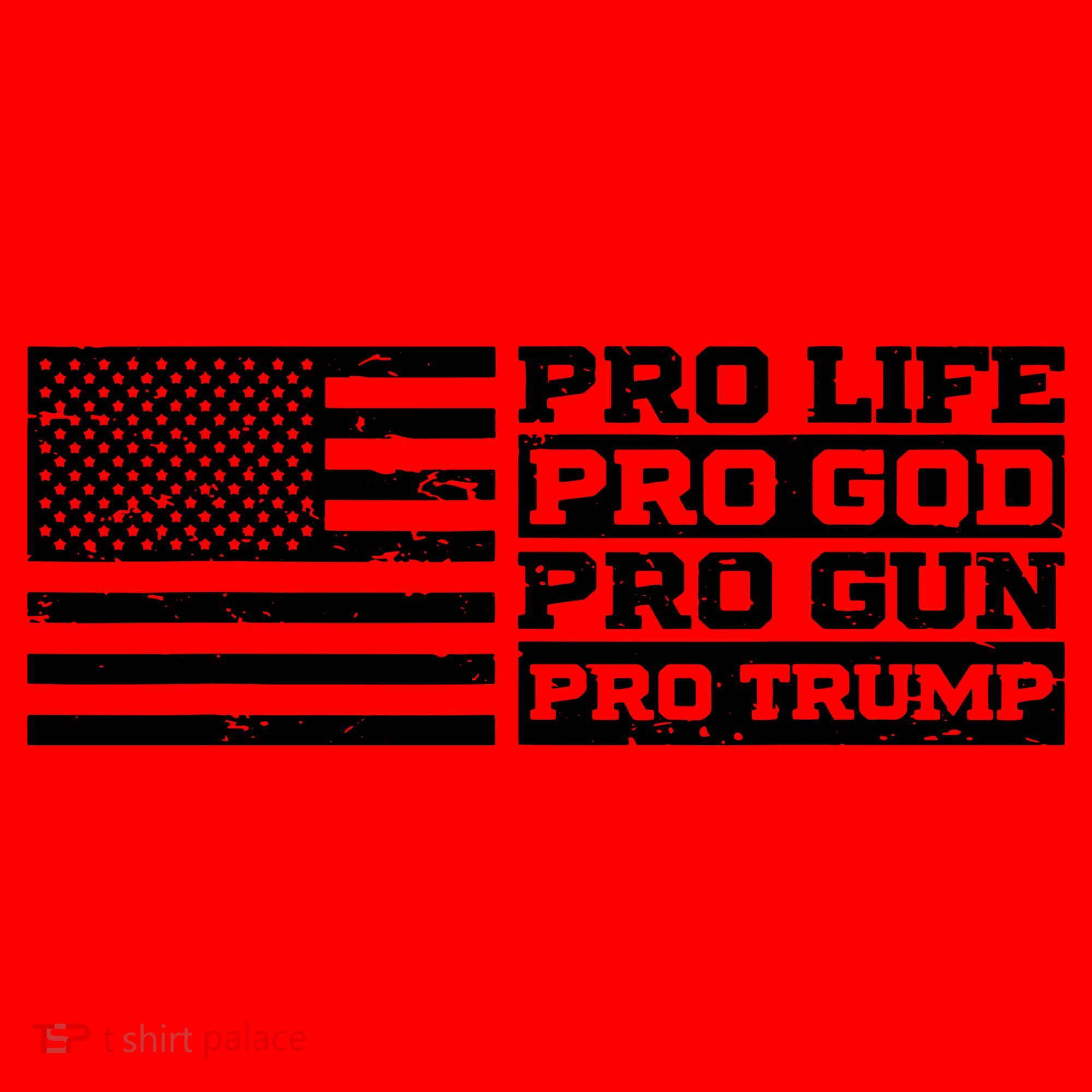 Pro Life Pro God Pro Gun Pro Trump Santa Hat
