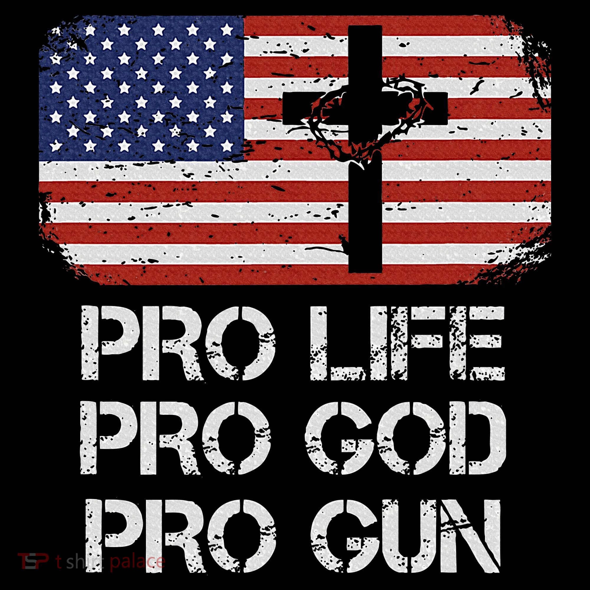 Pro Life Pro God Pro Gun Conservative Women's Tank Top