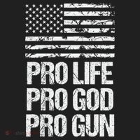 Pro Life Pro God Pro Gun Christian Conservative Beanie thumb 2