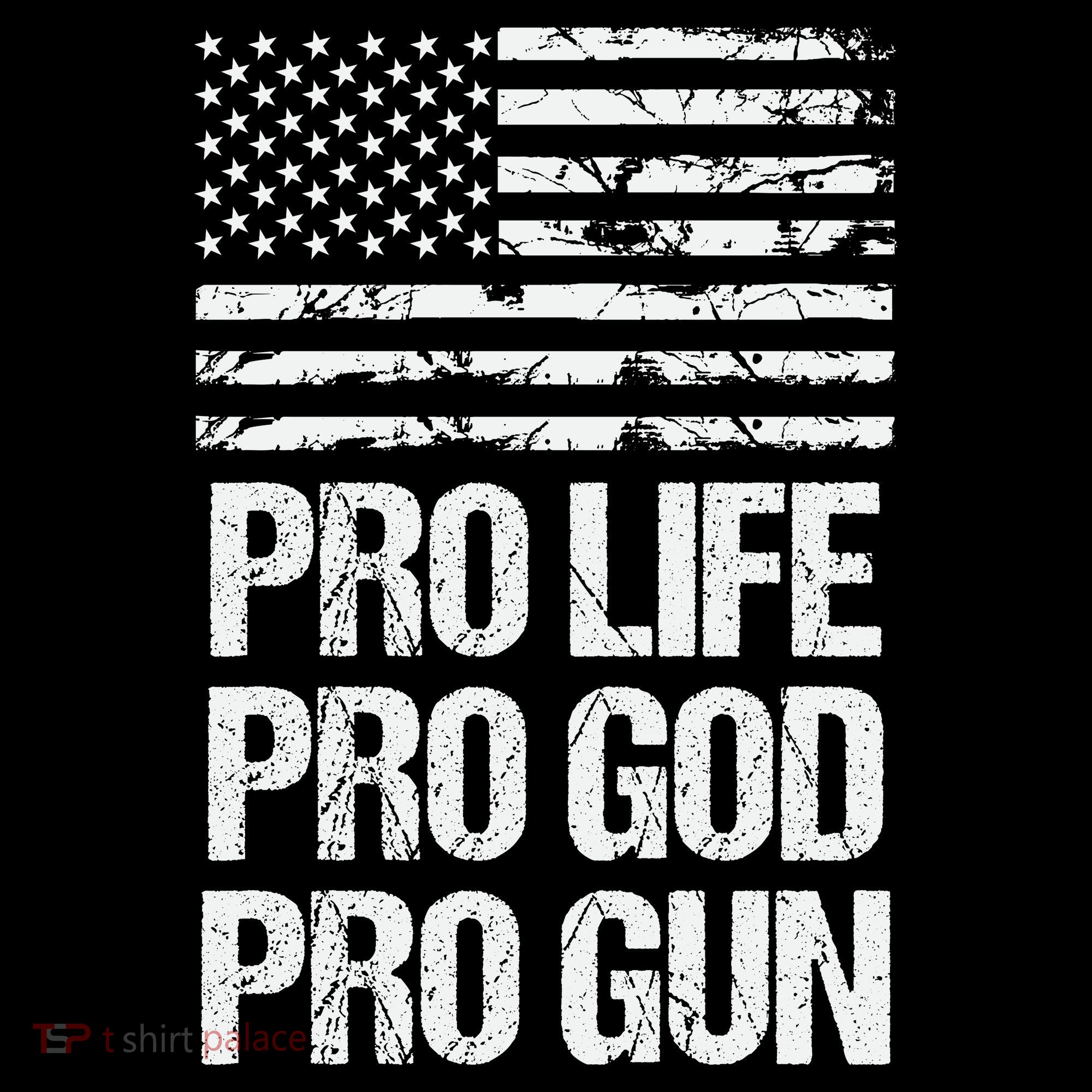 Pro Life Pro God Pro Gun Christian Conservative Women's Hoodie