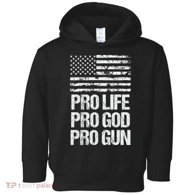 Pro Life Pro God Pro Gun Christian Conservative Toddler Hoodie