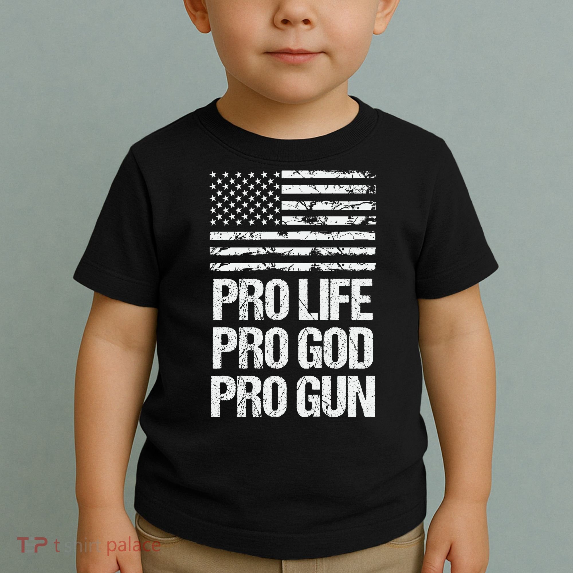 Pro Life Pro God Pro Gun Christian Conservative Toddler T-Shirt