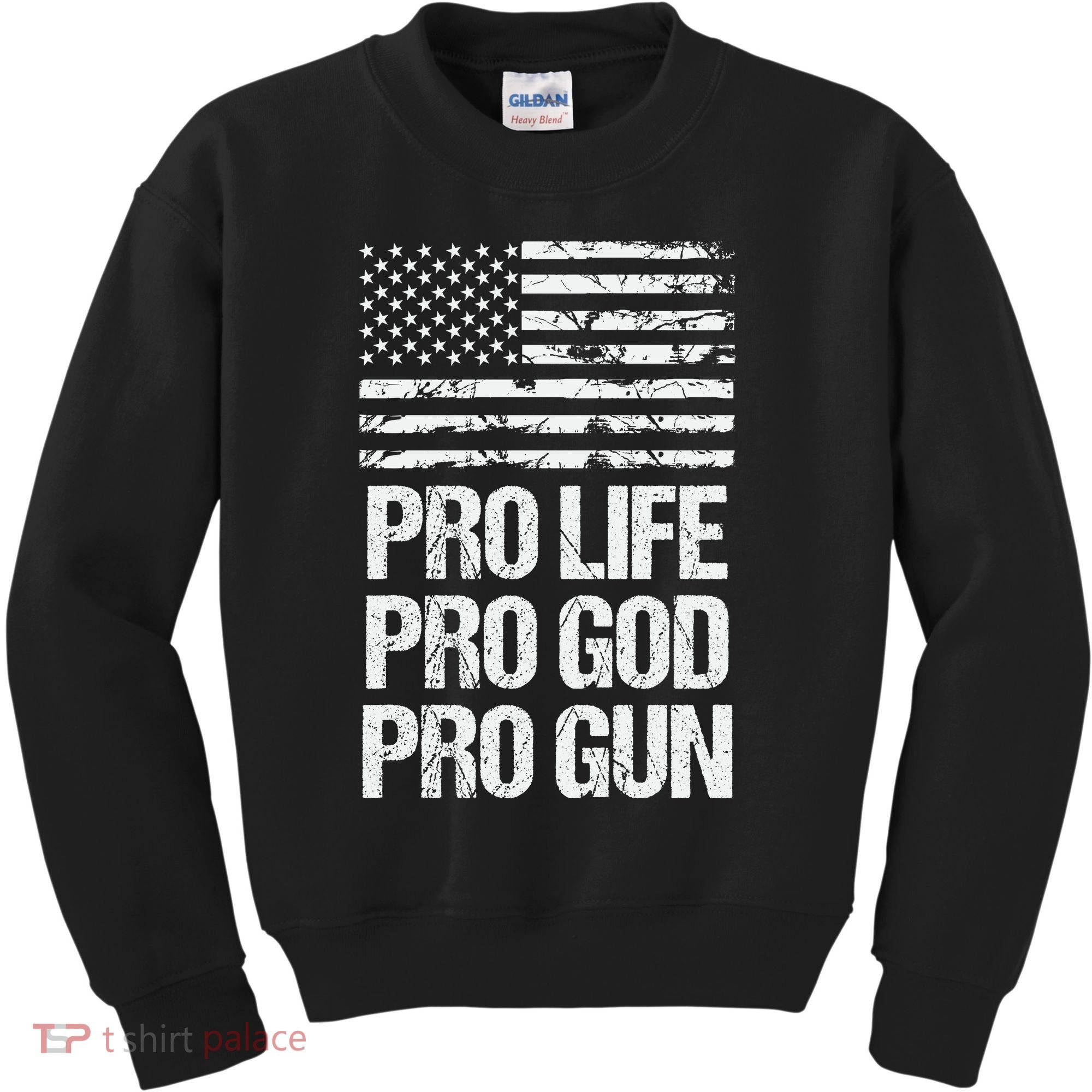 Pro Life Pro God Pro Gun Christian Conservative Kids Sweatshirt