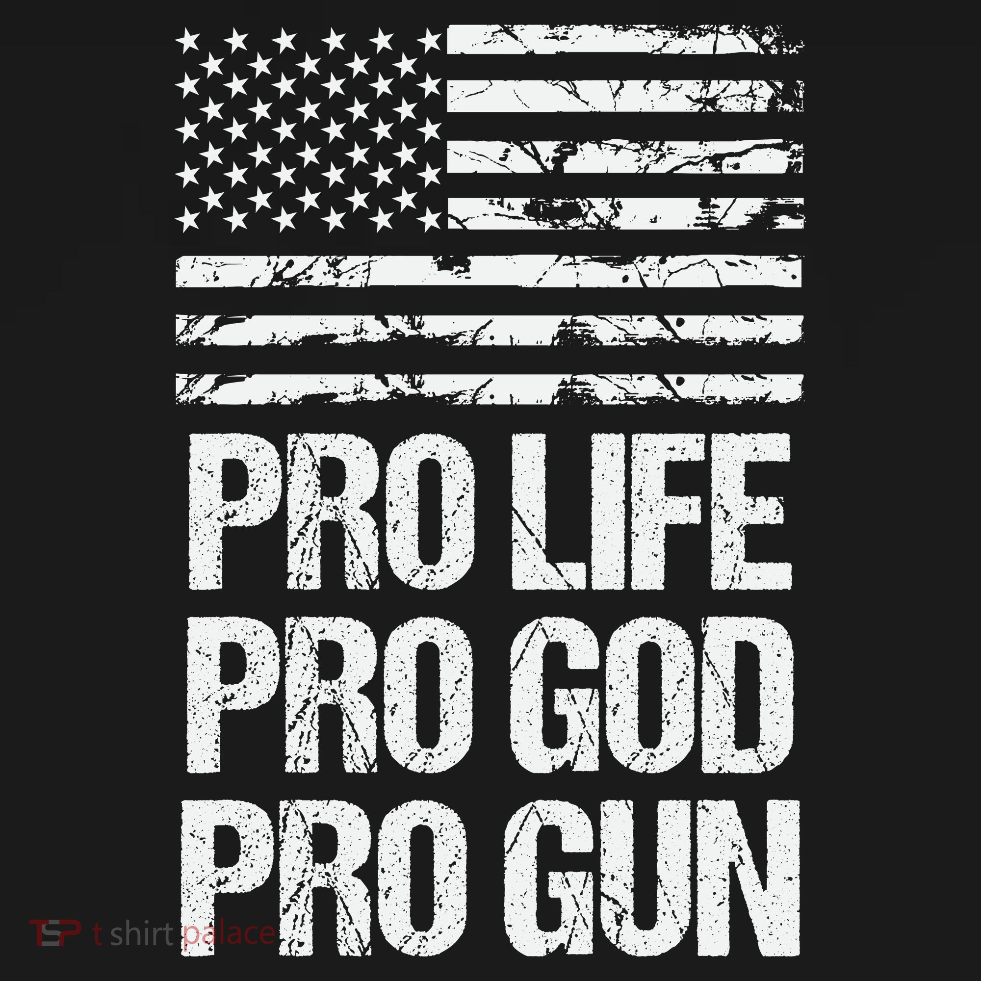 Pro Life Pro God Pro Gun Christian Conservative Tote Bag