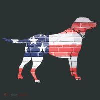 Patriotic Labrador Retriever Wearing USA Flag Lab Puppy Dog Hoodie thumb 2