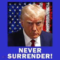 President Legend Trump 2024 Mugshot Never Surrender Toddler Hoodie thumb 2