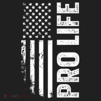Pro Life Us Flag Hat thumb 2