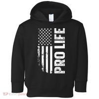 Pro Life Us Flag Toddler Hoodie thumb 0