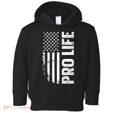 Pro Life Us Flag Toddler Hoodie