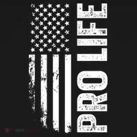 Pro Life Us Flag Women's Long Sleeve Shirt thumb 2