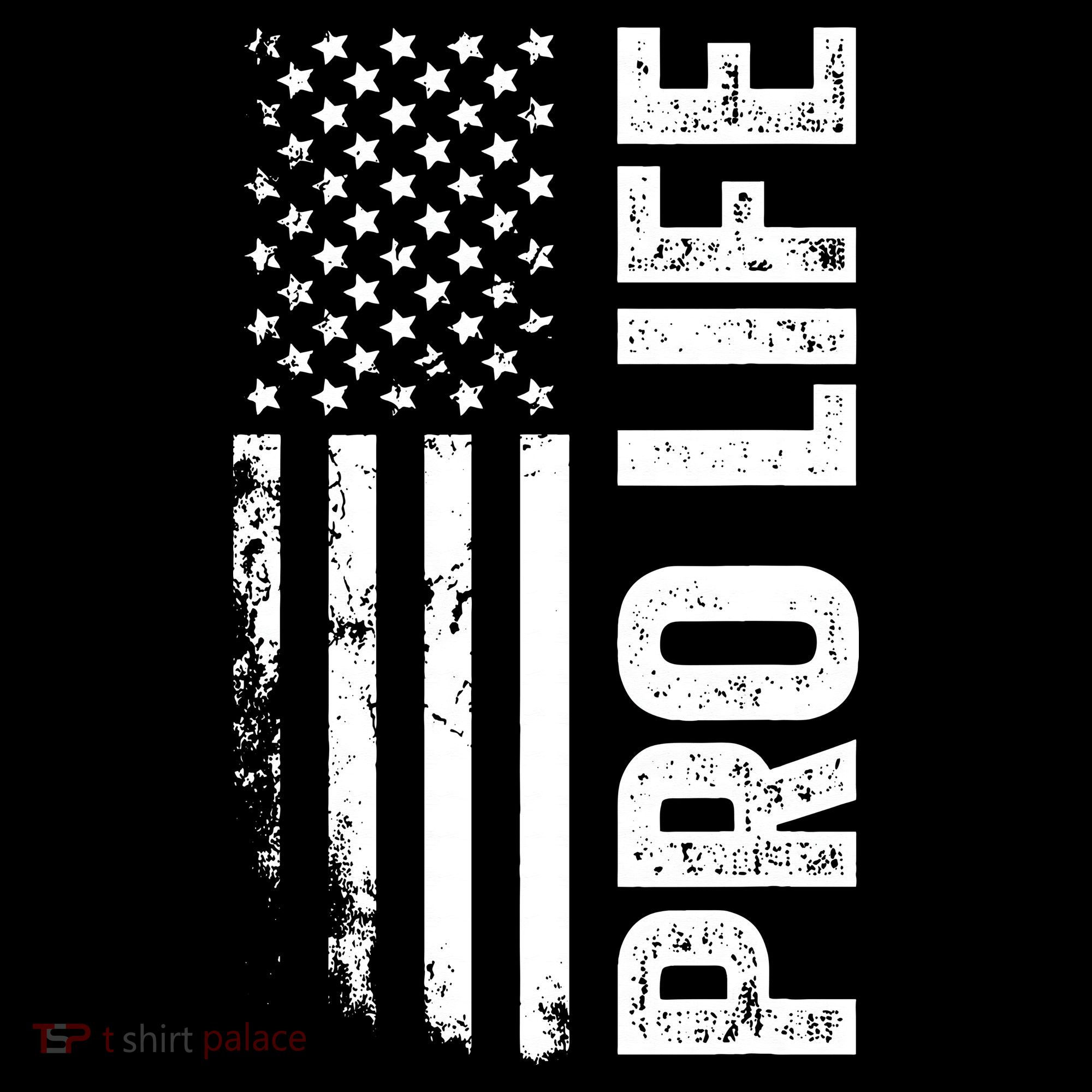 Pro Life Us Flag Women's T-Shirt
