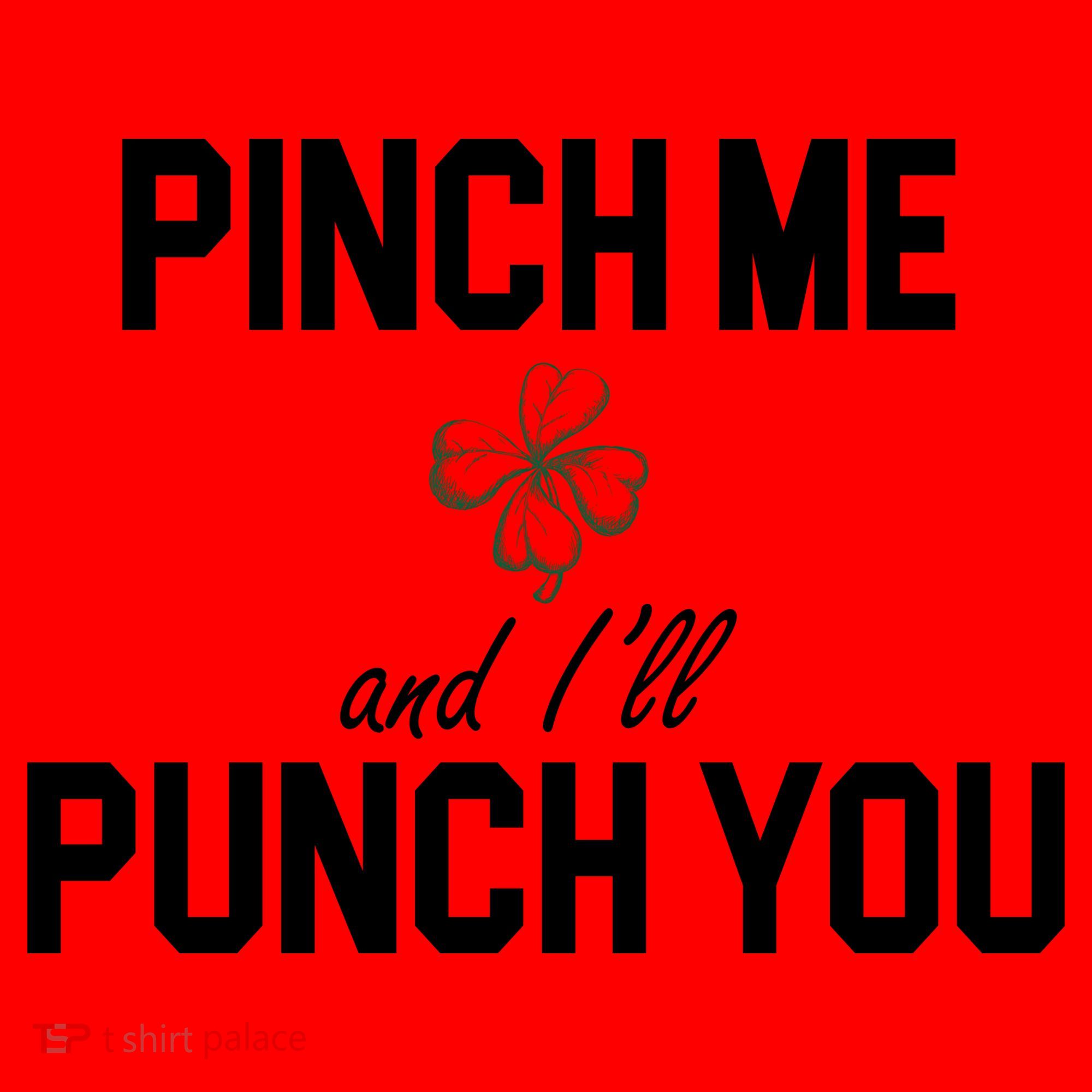 Pinch Me And I'll Punch You Funny St Patrick's Day Santa Hat