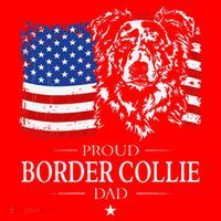 Proud Merle Border Collie Dad American Flag Patriotic Dog Santa Hat thumb 1