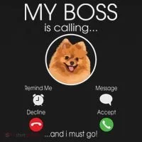 Pomeranian My Boss Bucket Hat thumb 4