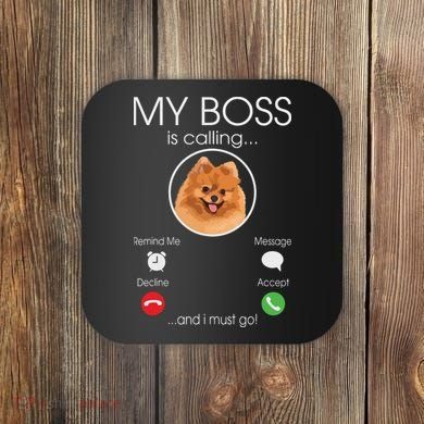 Pomeranian My Boss Coaster