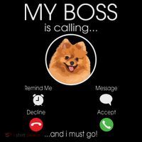 Pomeranian My Boss Coaster thumb 2