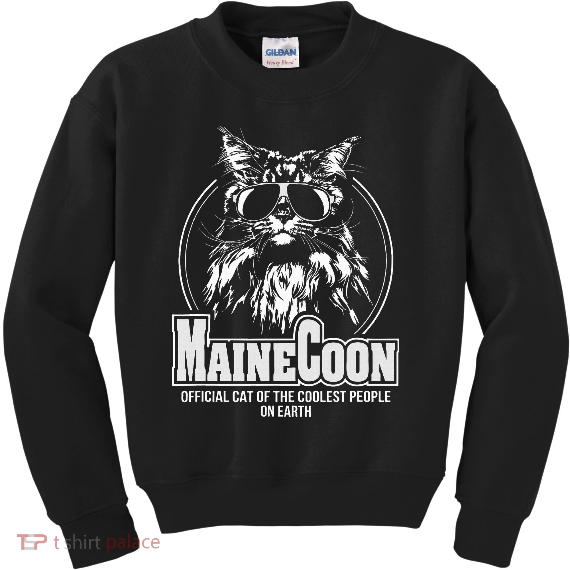 Proud Maine Coon Cool Cat Kids Sweatshirt
