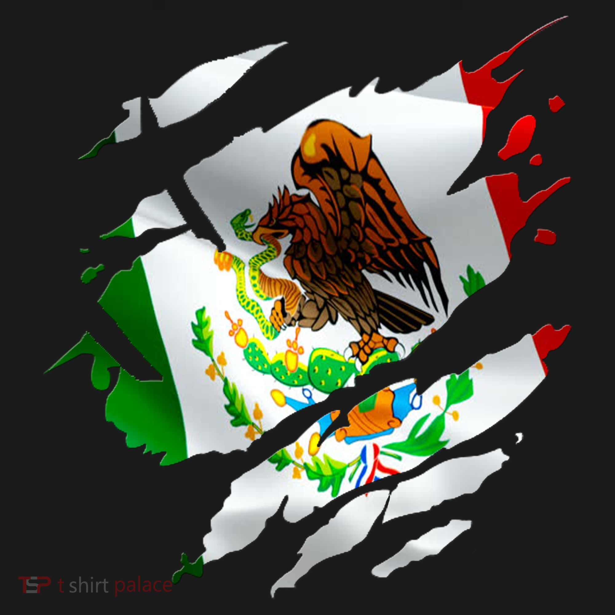 Proud Mexican Chicano Latino Torn Ripped Mexico Flag Sweatshirt