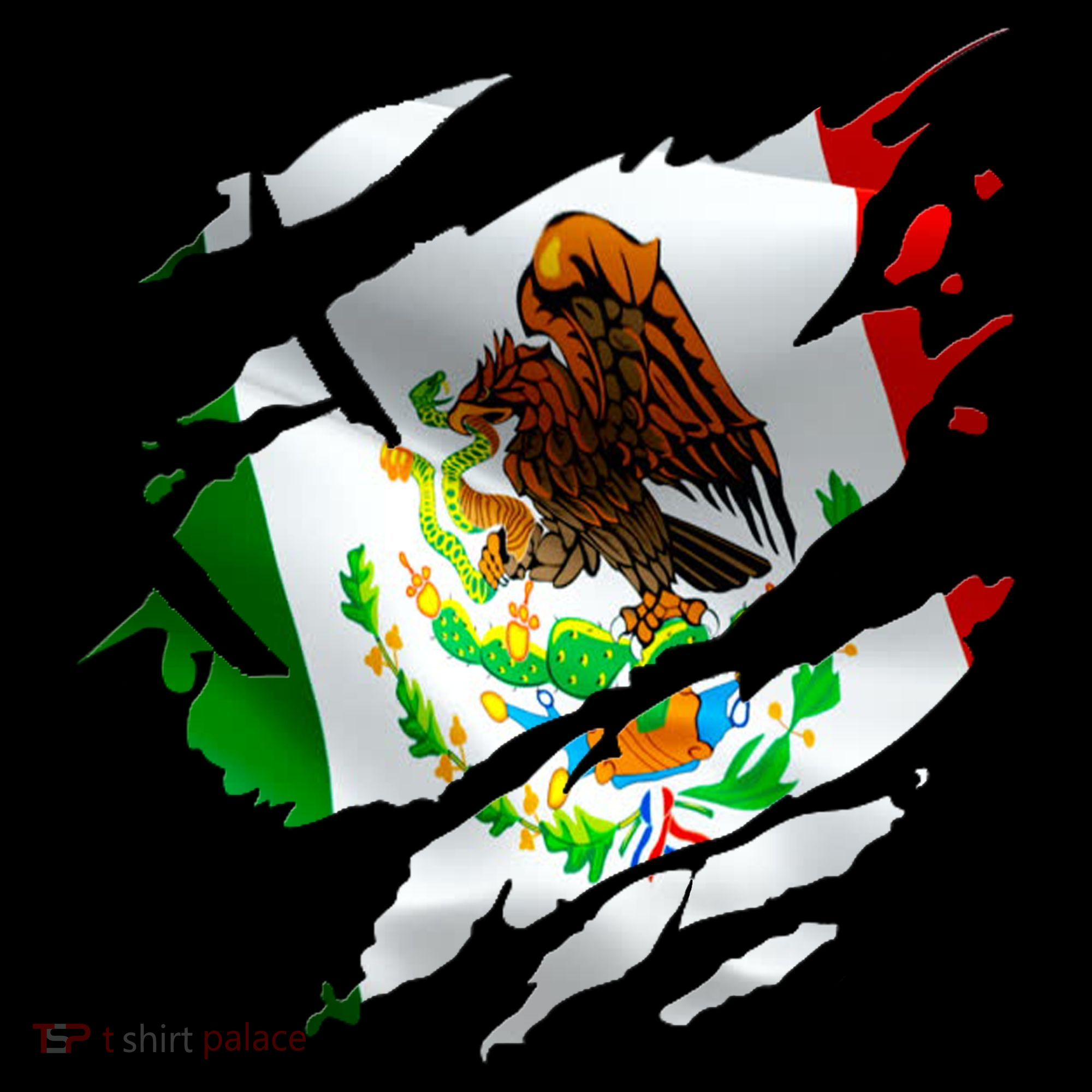 Proud Mexican Chicano Latino Torn Ripped Mexico Flag Coffee Mug