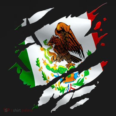 Proud Mexican Chicano Latino Torn Ripped Mexico Flag Toddler Hoodie