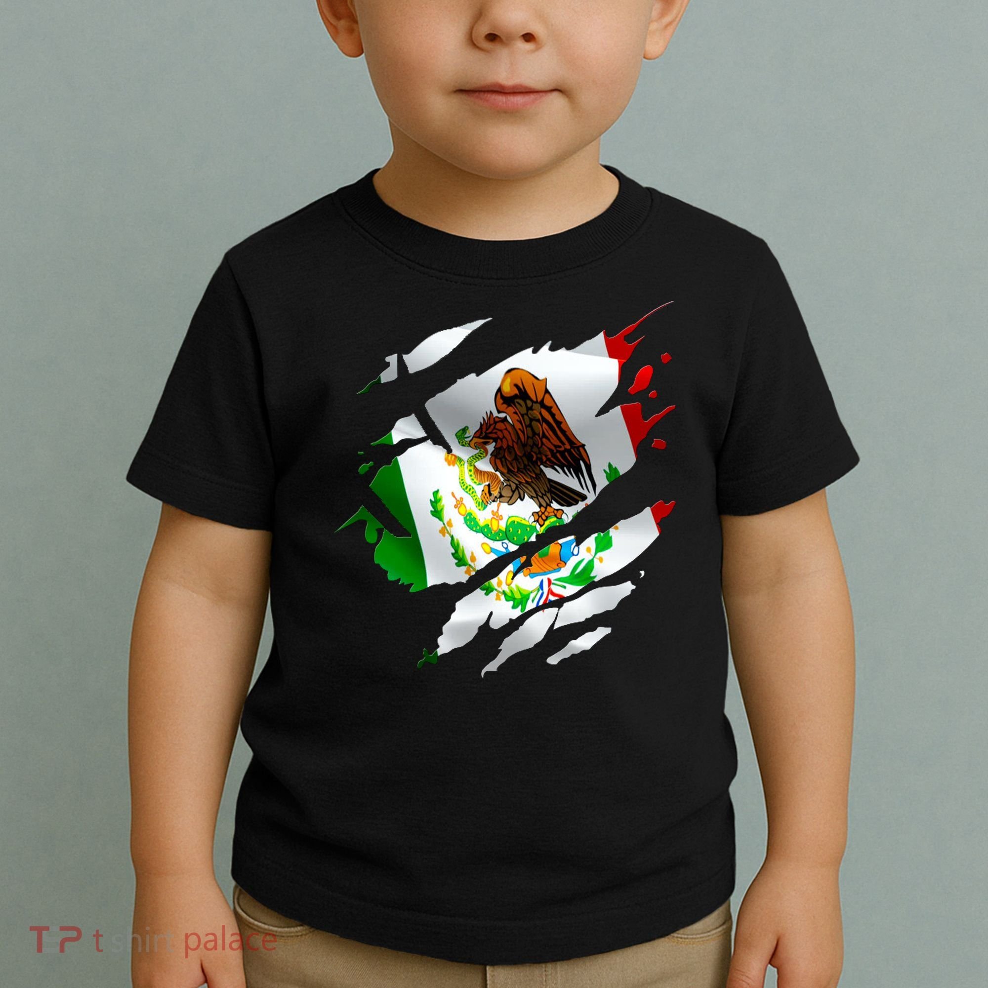 Proud Mexican Chicano Latino Torn Ripped Mexico Flag Toddler T-Shirt