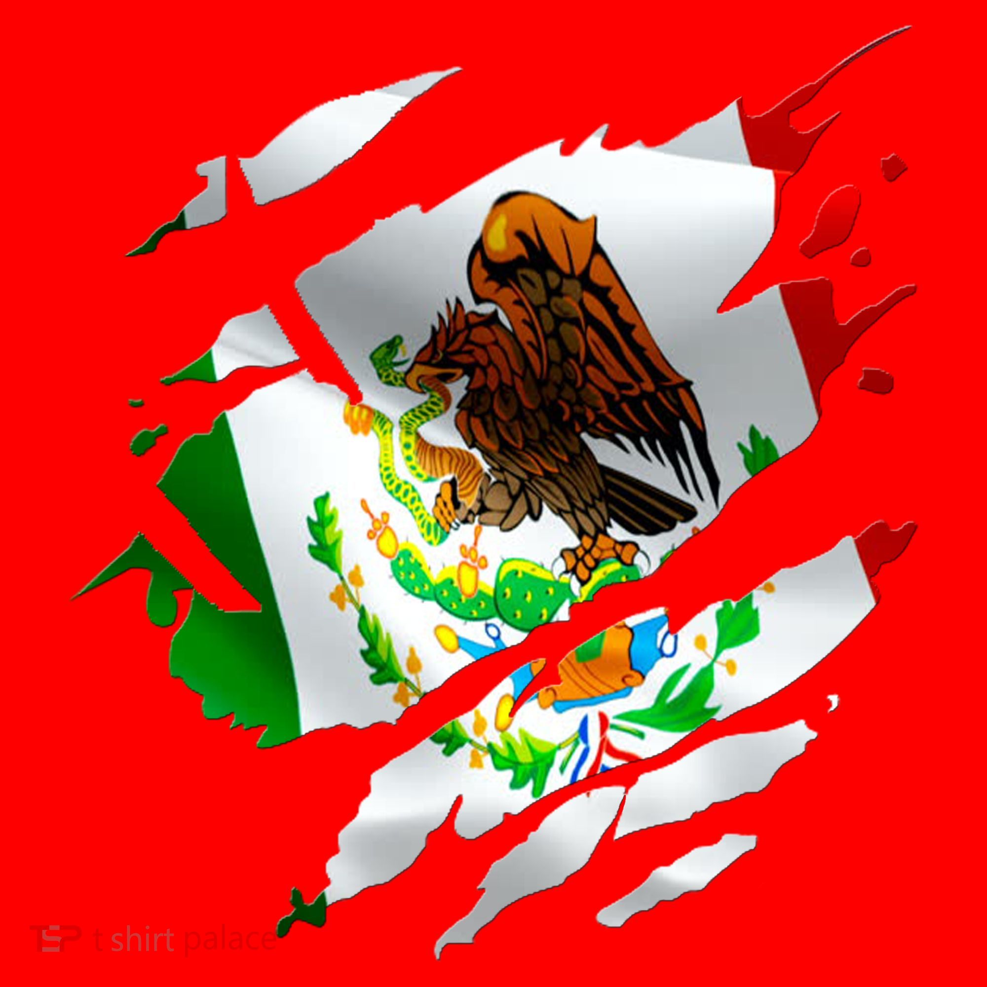 Proud Mexican Chicano Latino Torn Ripped Mexico Flag Santa Hat