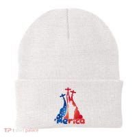 Patriotic Merica Classic Airplane Airshow Statue Of Liberty Beanie thumb 0