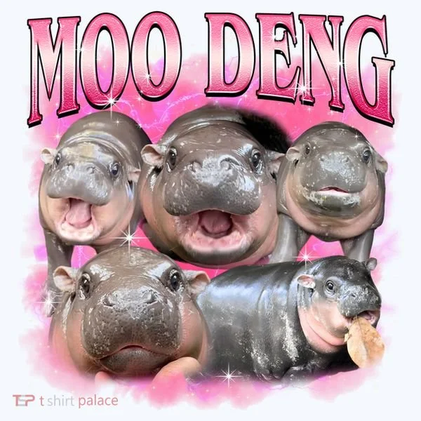Pink Moo Deng Meme Hippo Funny Tank Top
