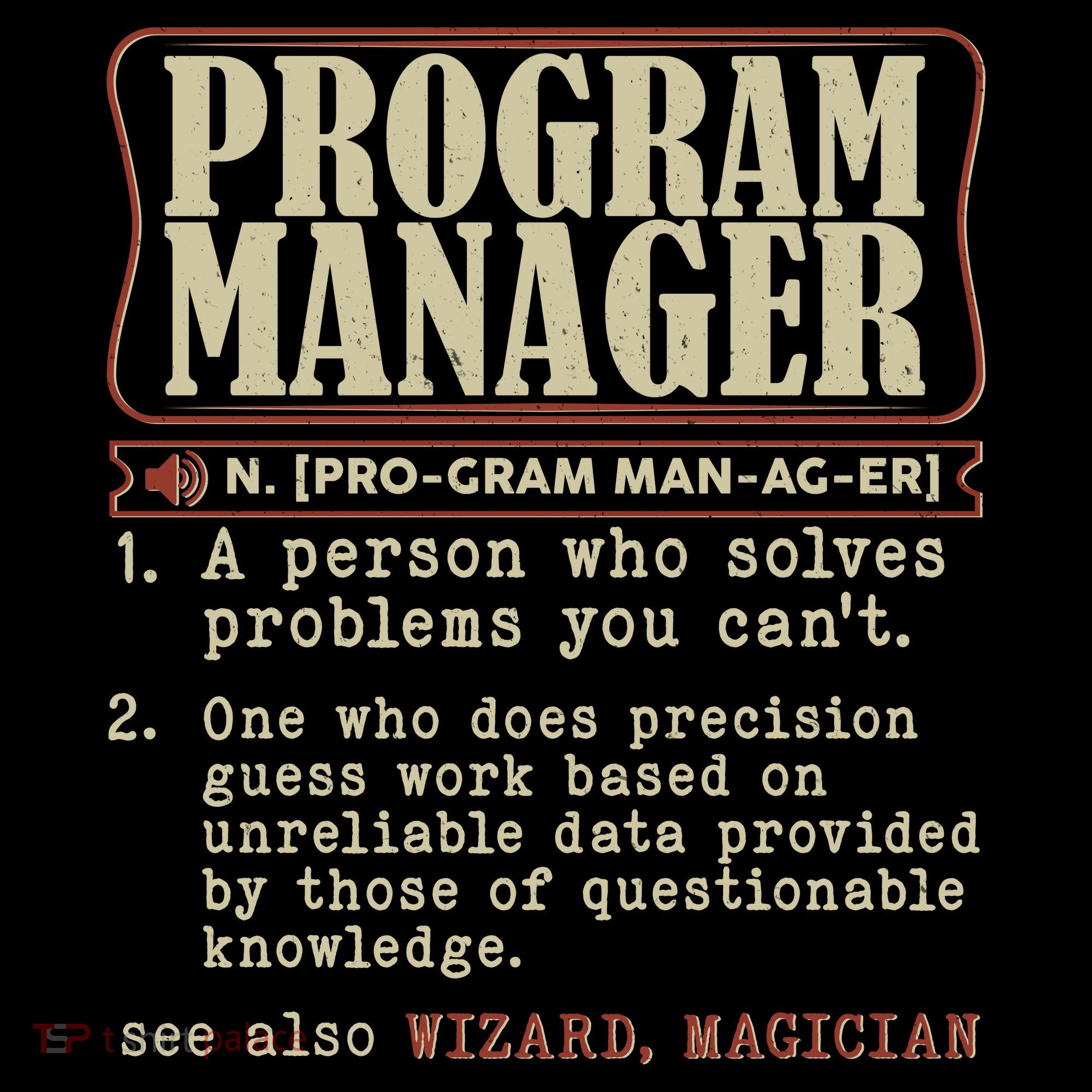Program Manager Definition Women's T-Shirt