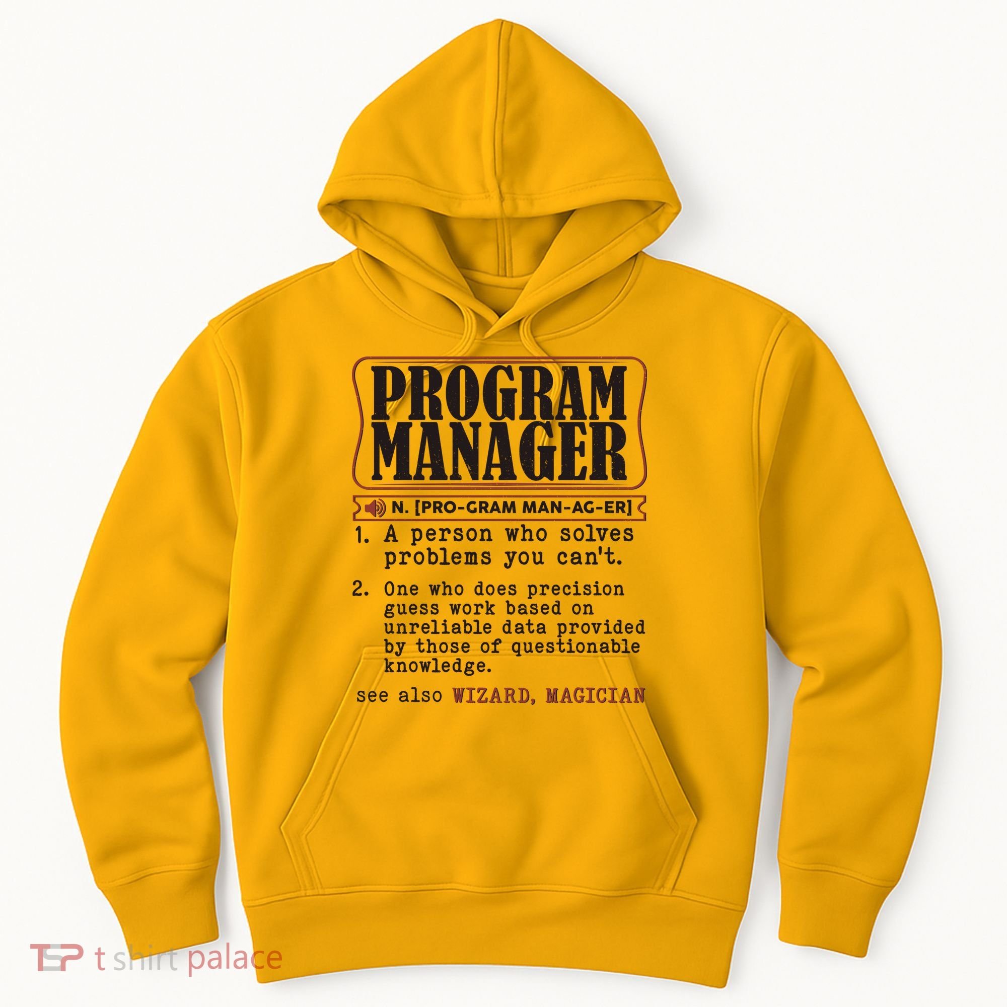 Program Manager Definition Hoodie