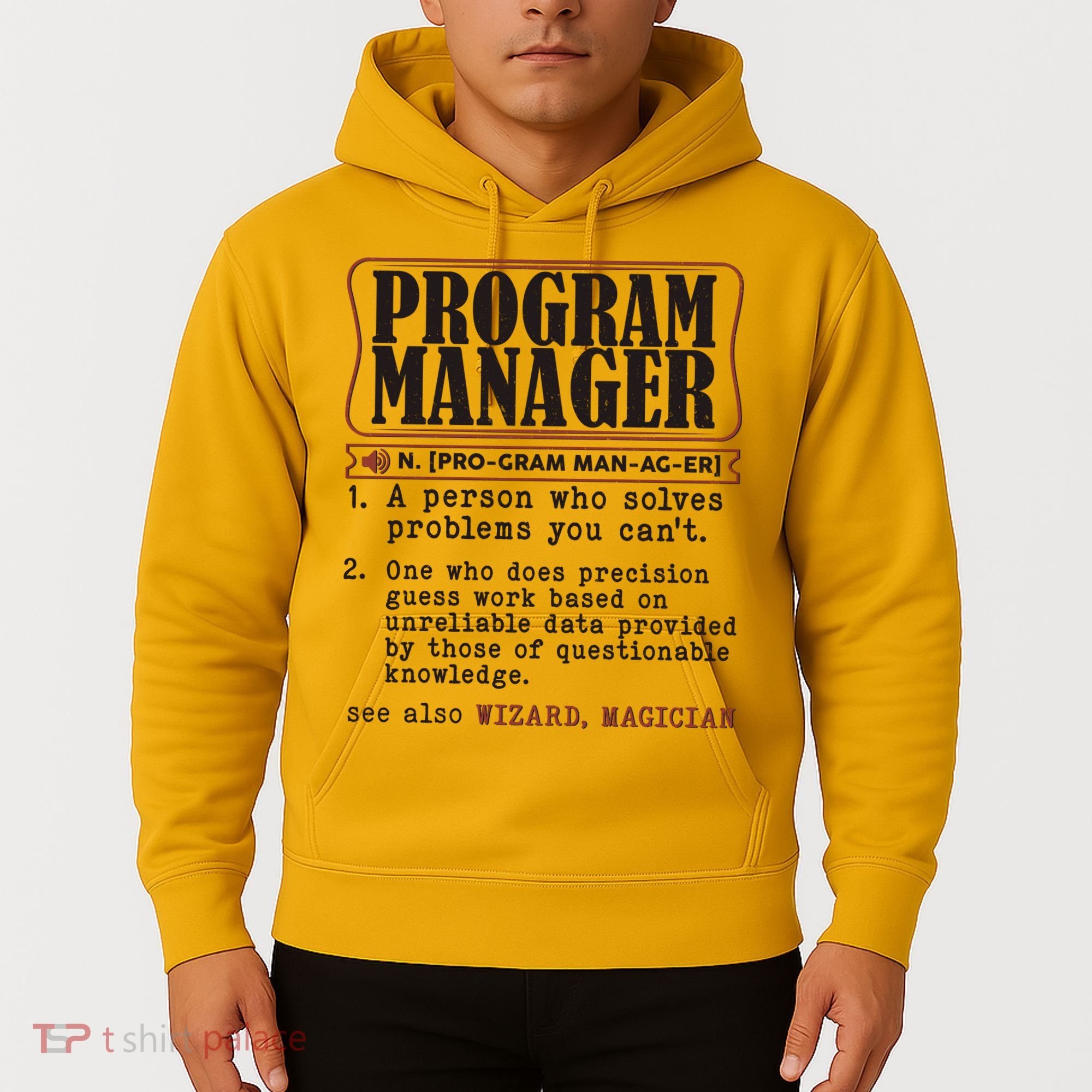 Program Manager Definition Hoodie