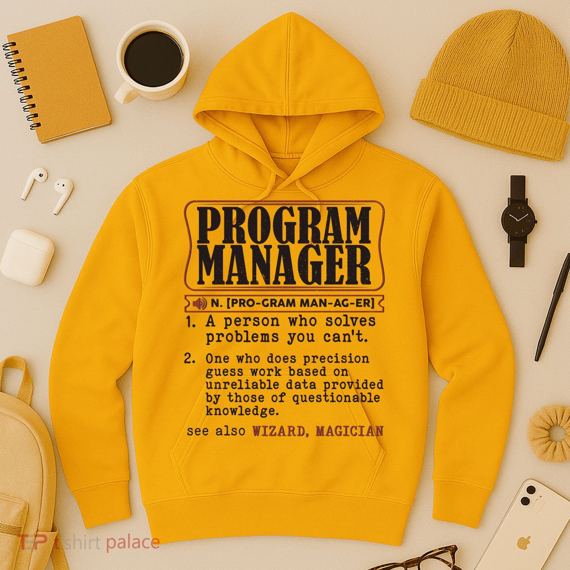 Program Manager Definition Hoodie