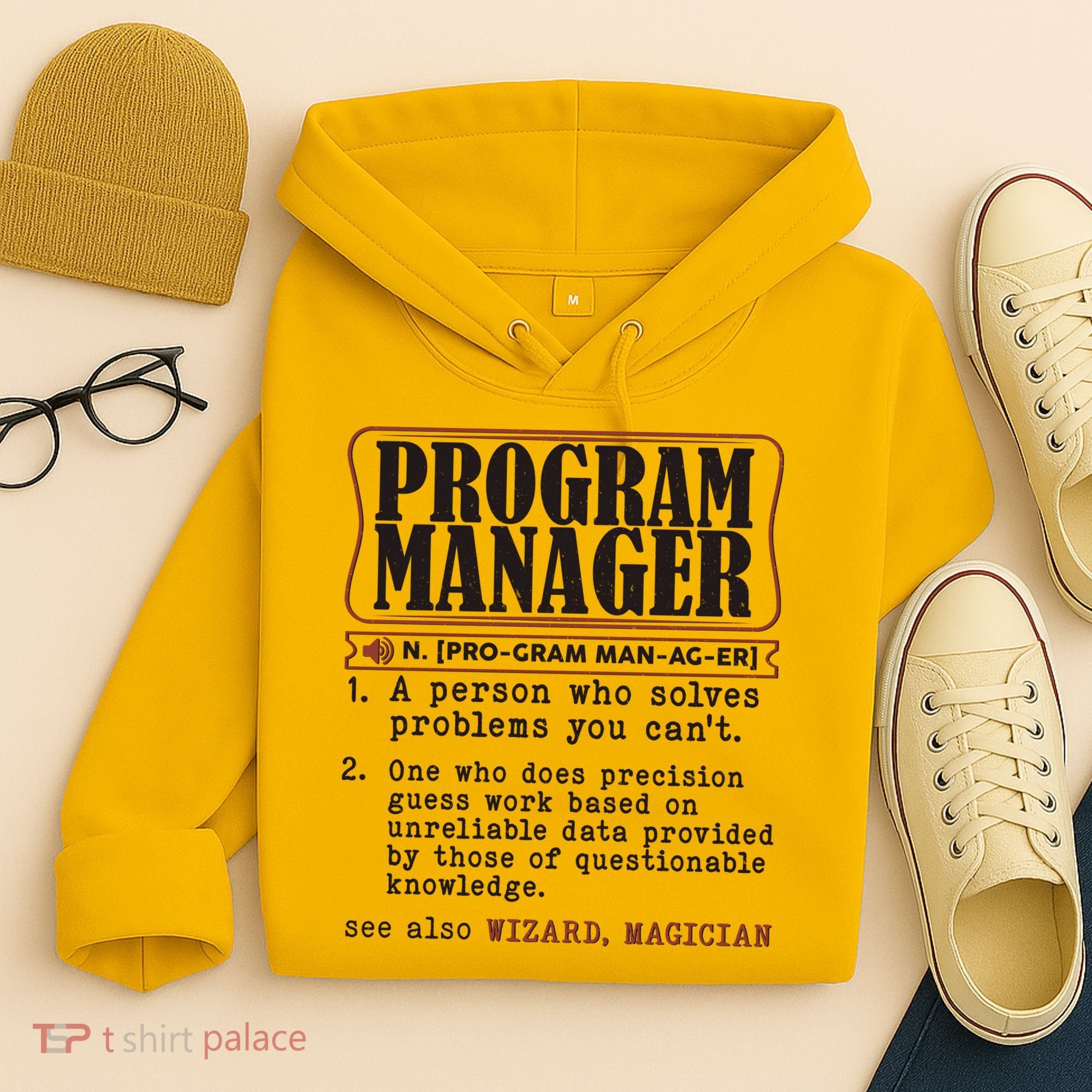 Program Manager Definition Hoodie